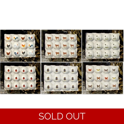 12 X CHICKEN EGG TRAYS